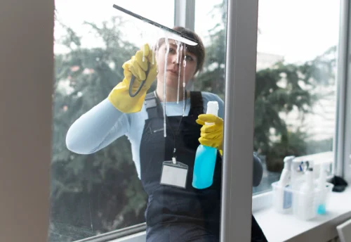 Nettoyage de vitres intérieures et extérieures à Tanus